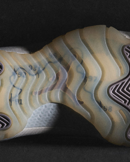 AIR JORDEN 11 H-TOWN